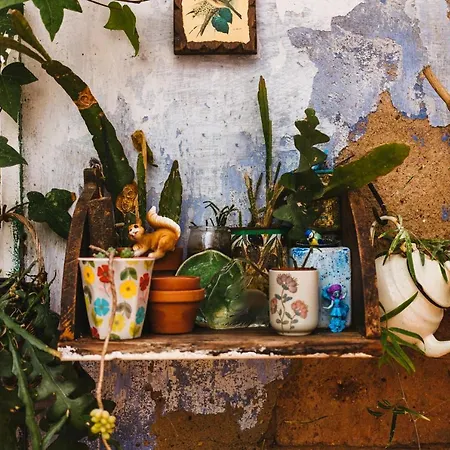 Apartment El Patio De Gracia Barcelona